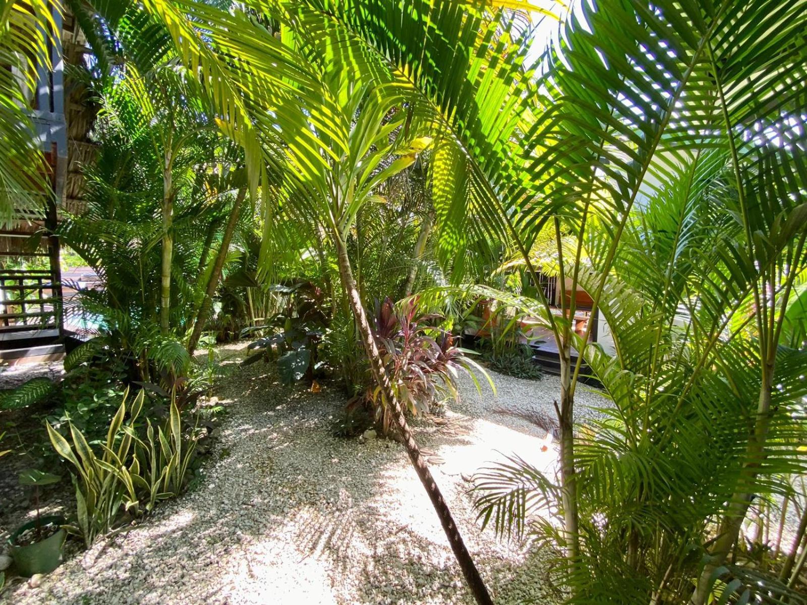 Santeria Lodge Playa Santa Teresa  Exterior photo