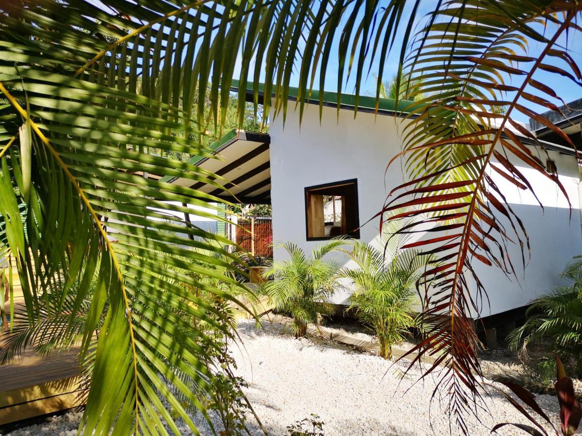 Santeria Lodge Playa Santa Teresa  Exterior photo